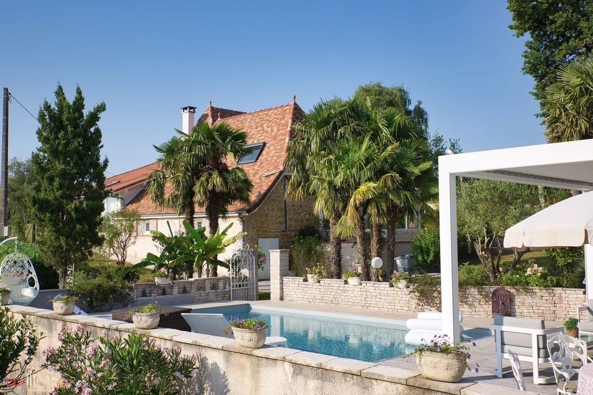 Maison-piscine-palmier